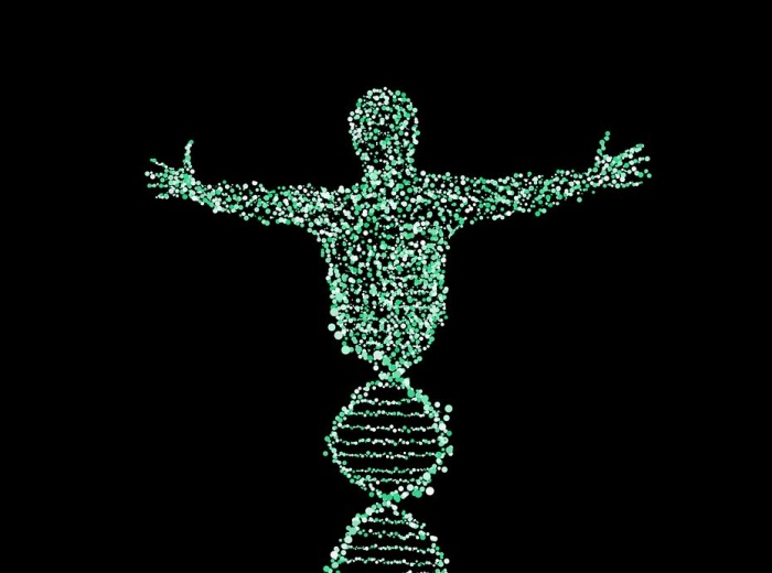 силуэт человека из спирали ДНК