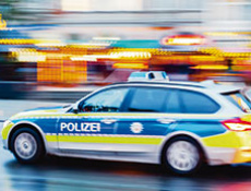 Криминальная хроника. Февраль 2026