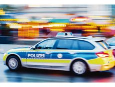 Криминальная хроника. Октябрь 2025