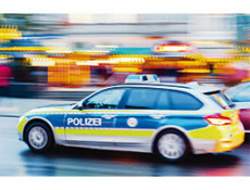 Криминальная хроника. Ноябрь 2025